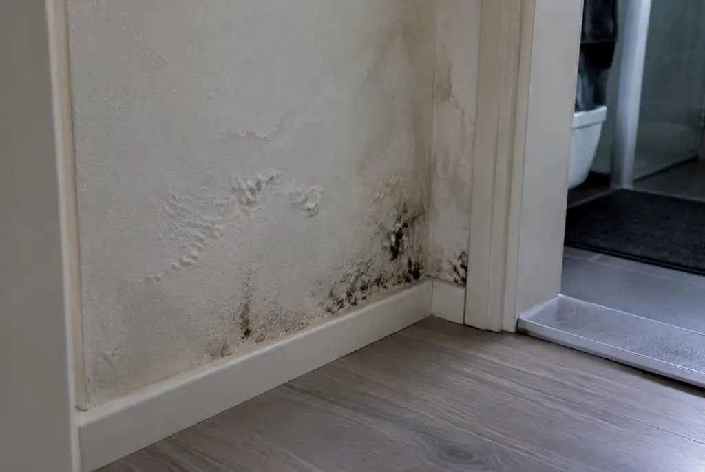 Lekdetectie Werkhoven – vochtplek met schimmel op een muur